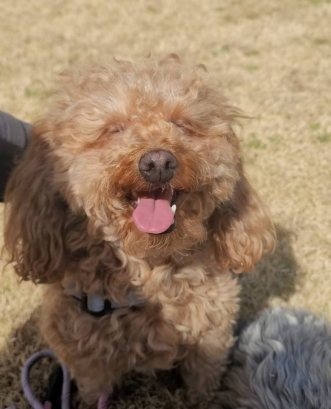 Emma smiling outdoors