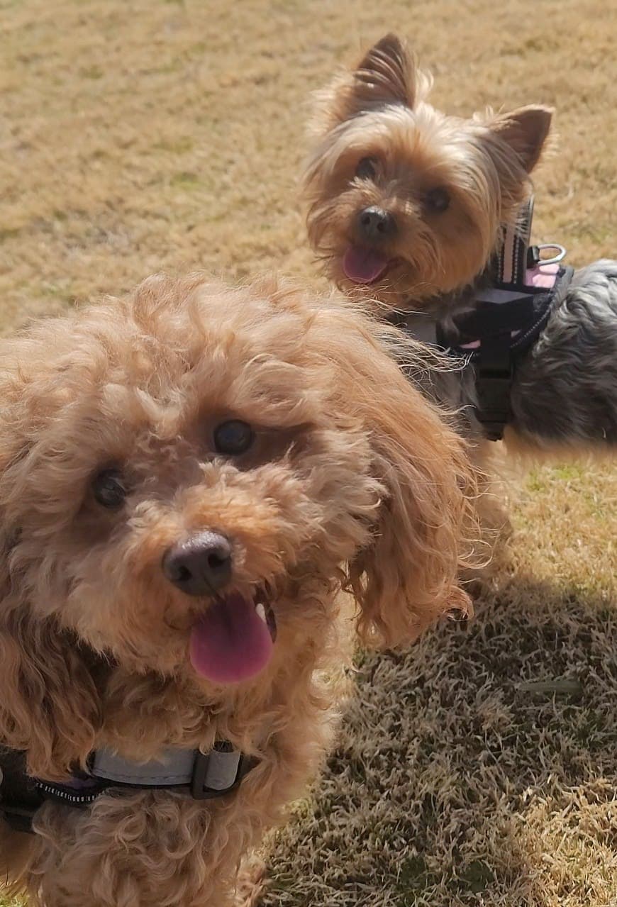 Emma & Ella together outdoors